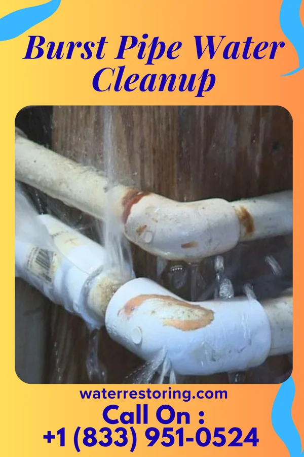 Burst Pipe Water Cleanup in Nessen City, MI