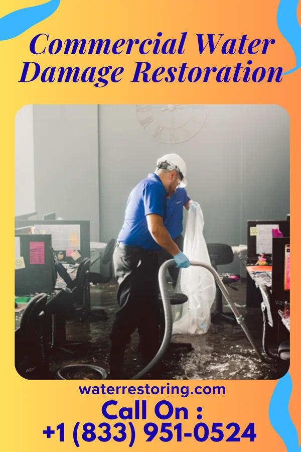 Commercial Water Damage Restoration in Nessen City, MI