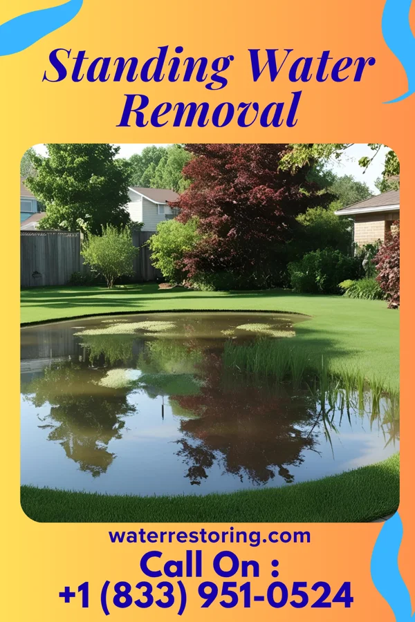 Standing Water Removal in Nessen City, MI